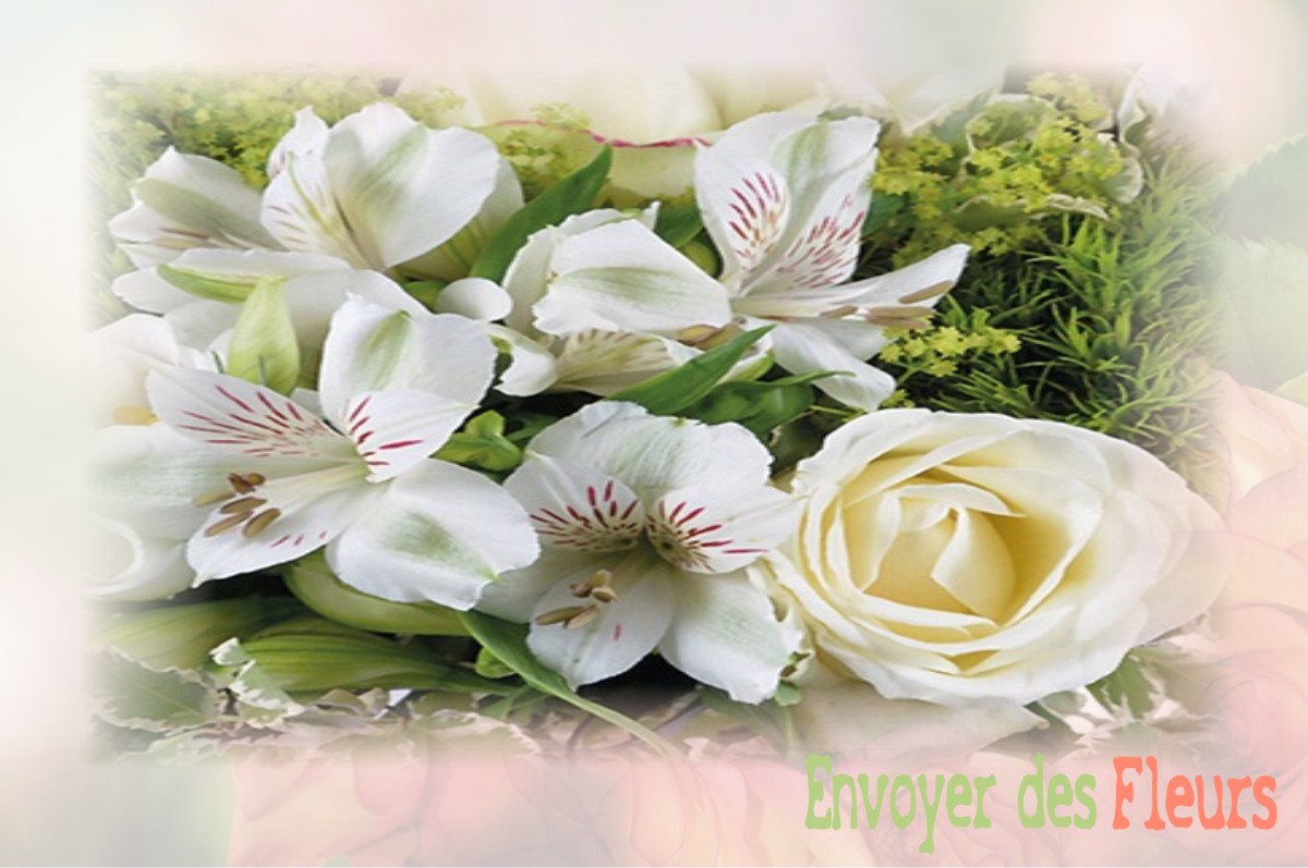 envoyer des fleurs à à SAINT-APOLLINAIRE-DE-RIAS